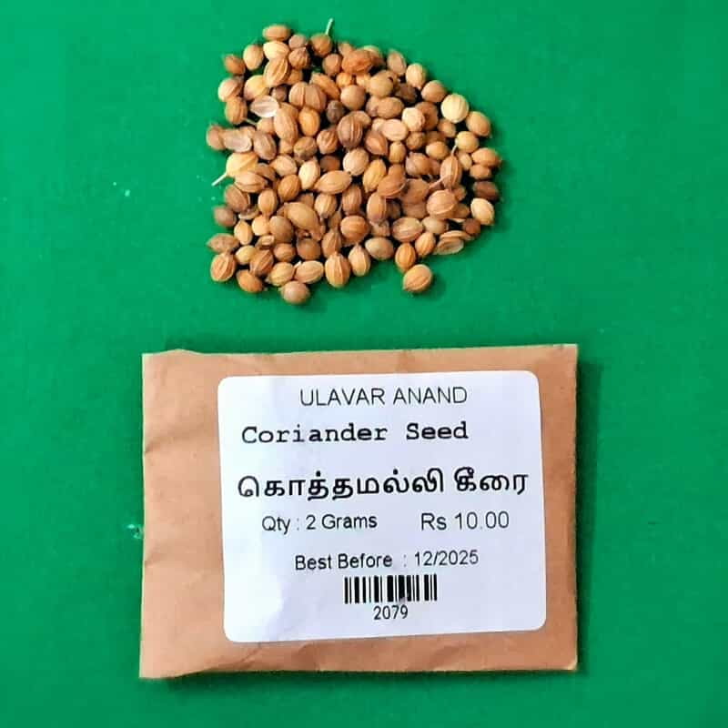 CORIANDER SEED ( கொத்தமல்லி கீரை) CORIANDER SEED ( கொத்தமல்லி கீரை)