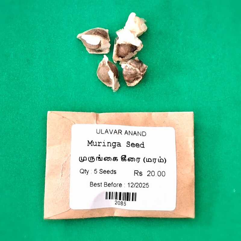 MURUNGAI SEED ( DRUMSTICK LEAVES ) (முருங்கை கீரை) MURUNGAI SEED ( DRUMSTICK LEAVES ) (முருங்கை கீரை)