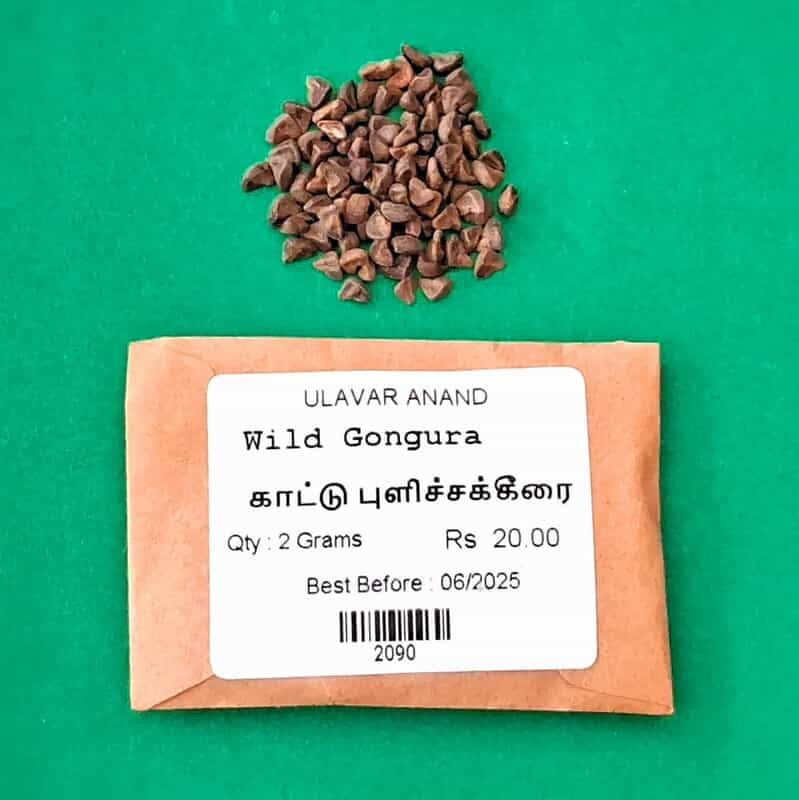 Wild Gongura (காட்டு புளிச்சக்கீரை) Wild Gongura (காட்டு புளிச்சக்கீரை)