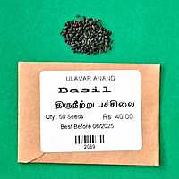 Tirunitru pachilai | திருநீற்று பச்சிலை