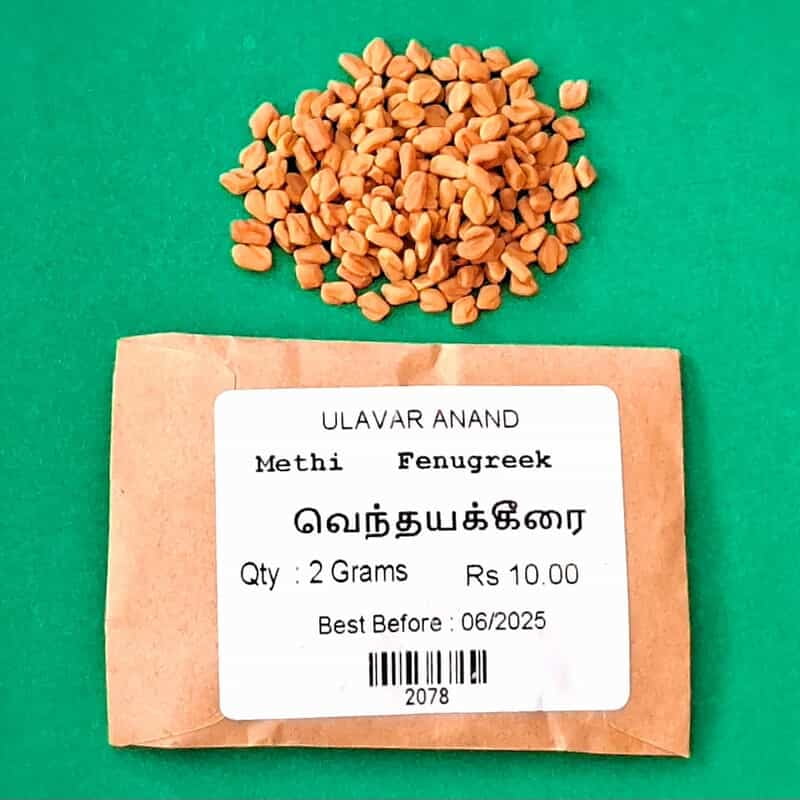 VENTHAYA KEERAI ( FEUNGREEK ) (வெத்தயக்கீரை) VENTHAYA KEERAI ( FEUNGREEK ) (வெத்தயக்கீரை)
