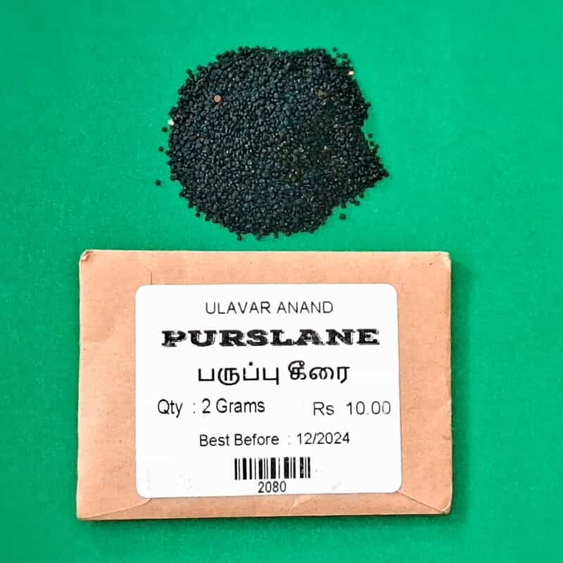 PARUPPU KEERAI ( PURSLANE )  ( பருப்பு கீரை)