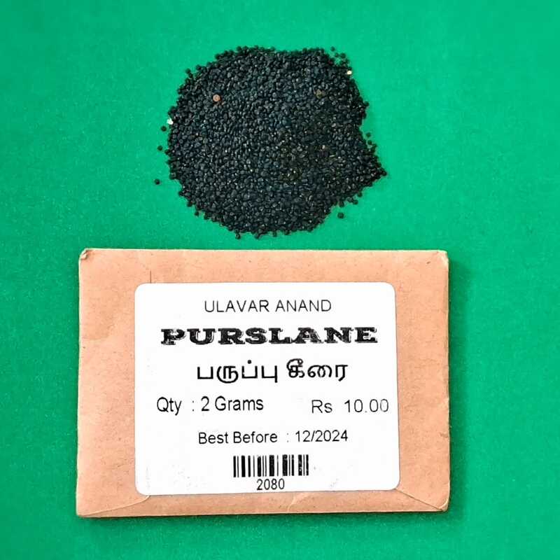 PARUPPU KEERAI ( PURSLANE )  ( பருப்பு கீரை)