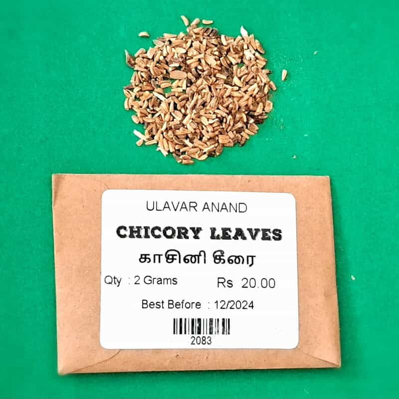 KASINI KEERAI (CHICORY LEAVES) ( காசினி கீரை) KASINI KEERAI (CHICORY LEAVES) ( காசினி கீரை)
