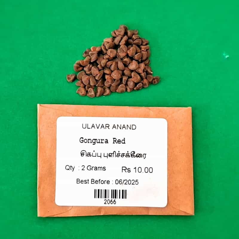 PULICHA KEERAI RED ( KENAF LEAVES ) (சிகப்பு புளிச்சக்கீரை) PULICHA KEERAI RED ( KENAF LEAVES ) (சிகப்பு புளிச்சக்கீரை)