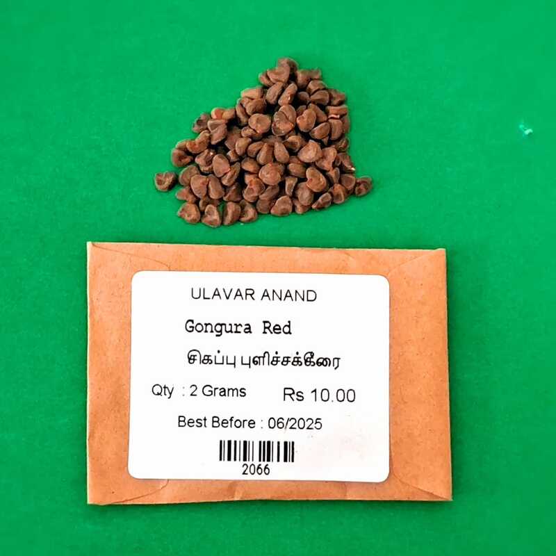 PULICHA KEERAI RED ( KENAF LEAVES ) (சிகப்பு புளிச்சக்கீரை) PULICHA KEERAI RED ( KENAF LEAVES ) (சிகப்பு புளிச்சக்கீரை)