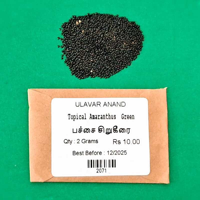 SIRU KEERAI ( சிறுகீரை ) SIRU KEERAI ( சிறுகீரை )