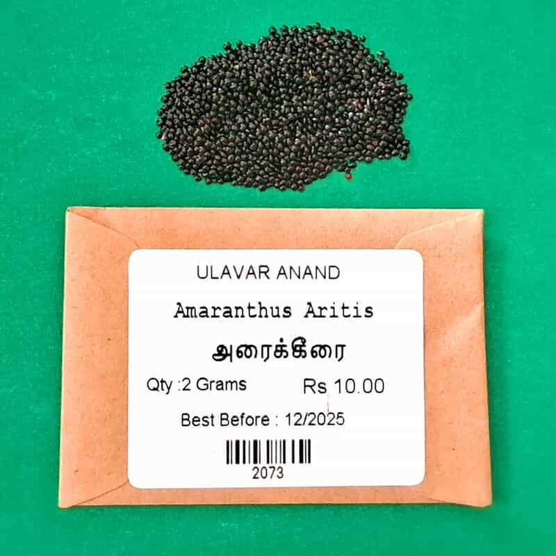 ARAI KEERAI (AMARANTHUS ARITIS ) (அரை கீரை) ARAI KEERAI (AMARANTHUS ARITIS ) (அரை கீரை)