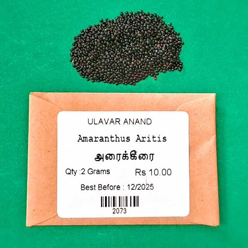 ARAI KEERAI (AMARANTHUS ARITIS ) (அரை கீரை) ARAI KEERAI (AMARANTHUS ARITIS ) (அரை கீரை)