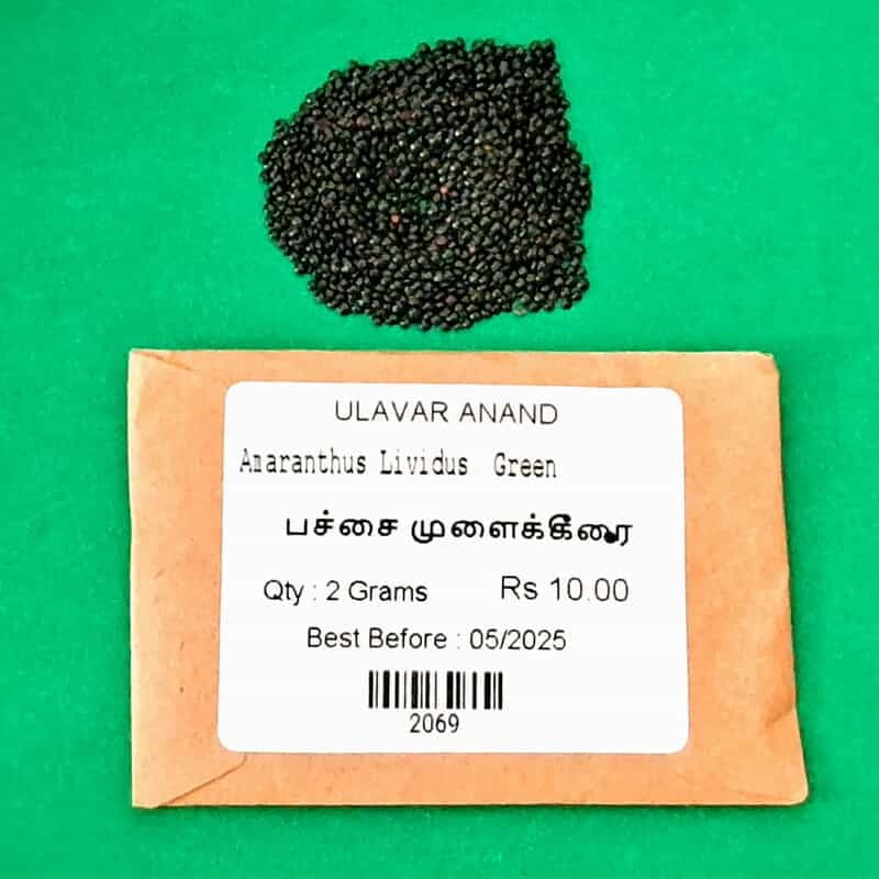 MULAI KEERAI GREEN ( AMARANTHUS ) (பச்சை முளைக்கீரை) MULAI KEERAI GREEN ( AMARANTHUS ) (பச்சை முளைக்கீரை)