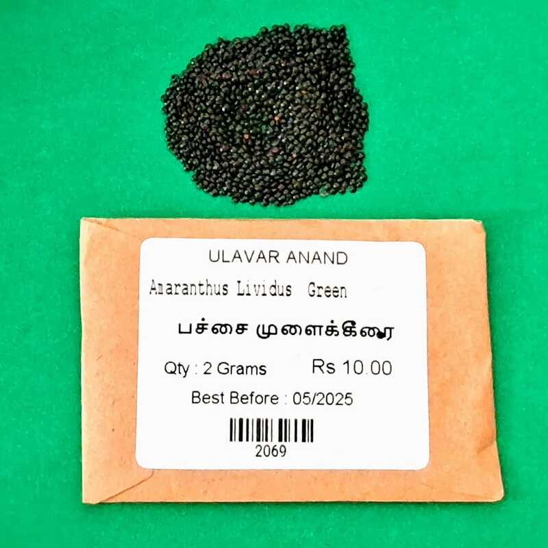 MULAI KEERAI GREEN ( AMARANTHUS ) (பச்சை முளைக்கீரை) MULAI KEERAI GREEN ( AMARANTHUS ) (பச்சை முளைக்கீரை)