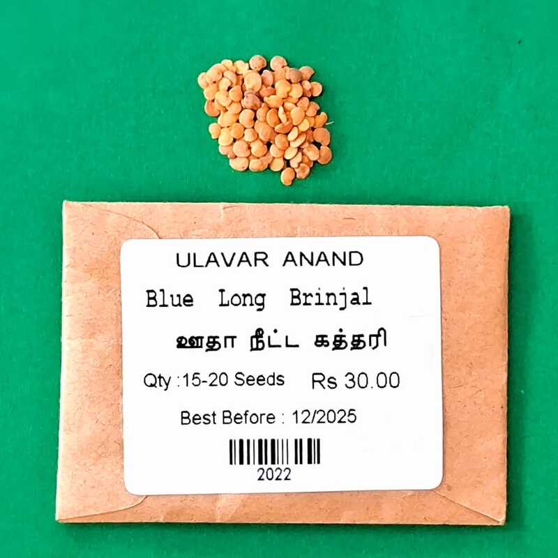 Blue Long Brinjal (ஊதா நீட்ட கத்தரி ) Blue Long Brinjal (ஊதா நீட்ட கத்தரி )