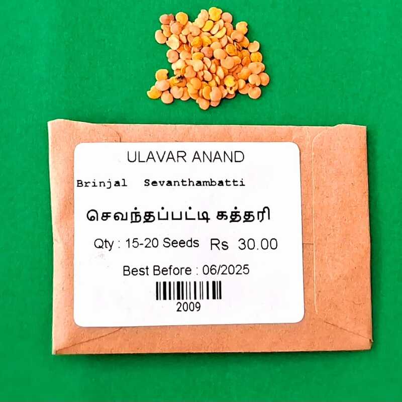 SEVANTHAMBATTI BRINJAL ( செவந்தம்பட்டி கத்தரி SEVANTHAMBATTI BRINJAL ( செவந்தம்பட்டி கத்தரி