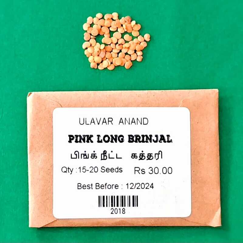 Pink Long Brinjal | பிங்க் நீட்ட கத்தரி Pink Long Brinjal | பிங்க் நீட்ட கத்தரி