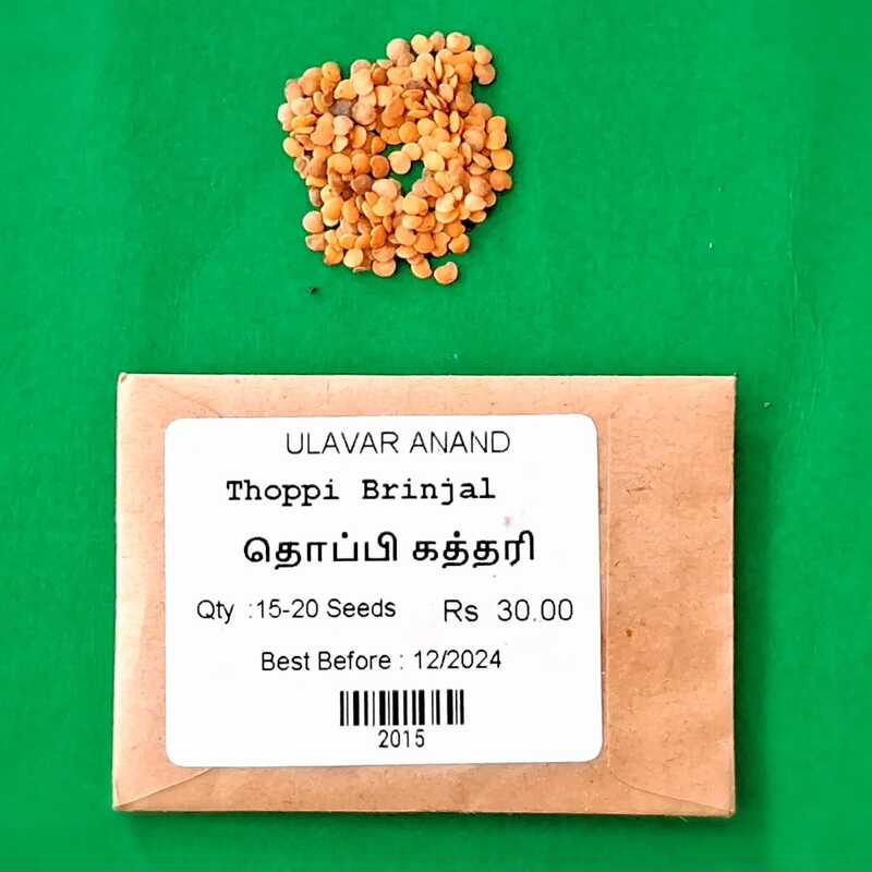 Thoppi Brinjal ( தொப்பி கத்தரி ) Thoppi Brinjal ( தொப்பி கத்தரி )