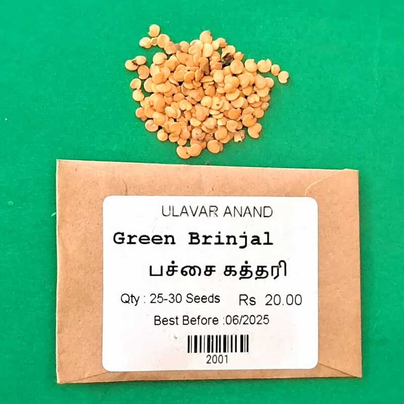 GREEN BRINJAL (பச்சை கத்தரிக்காய்) GREEN BRINJAL (பச்சை கத்தரிக்காய்)