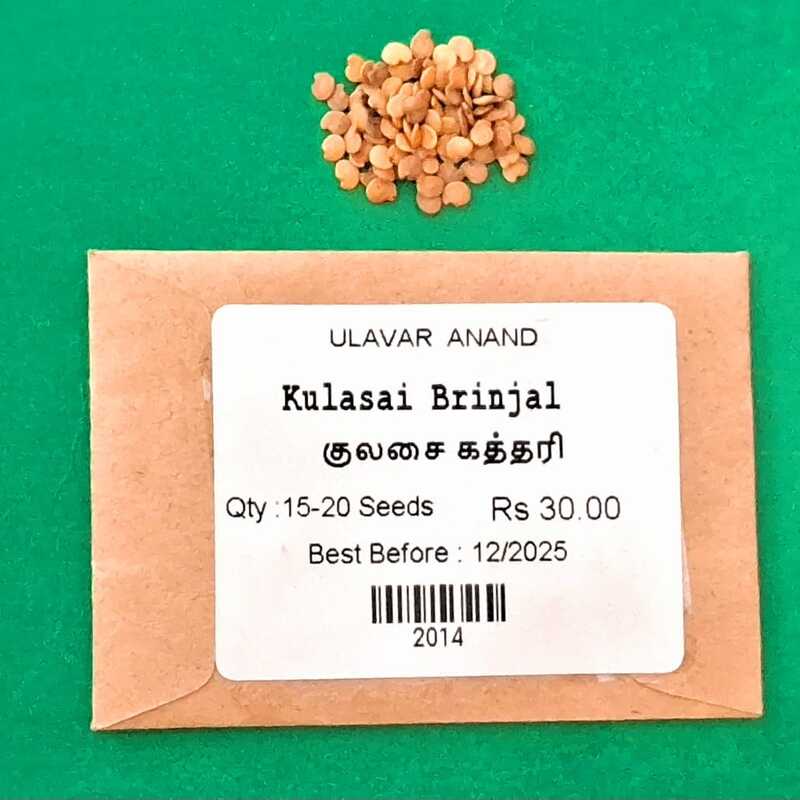 KULASAI BRINJAL (குலசை கத்தரி) KULASAI BRINJAL (குலசை கத்தரி)