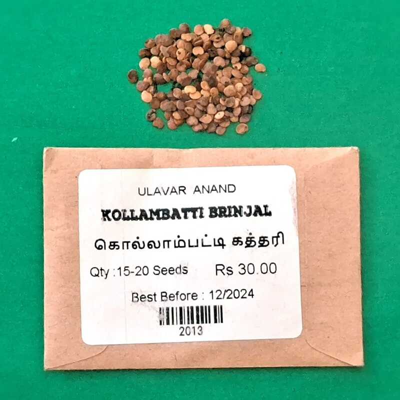 KOLLAMBATTI BRINJAL (கொல்லம்பட்டி கத்தரி) KOLLAMBATTI BRINJAL (கொல்லம்பட்டி கத்தரி)