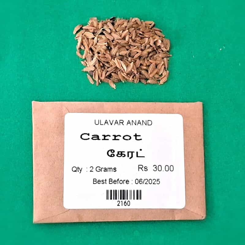 CARROT (கேரட்) CARROT (கேரட்)
