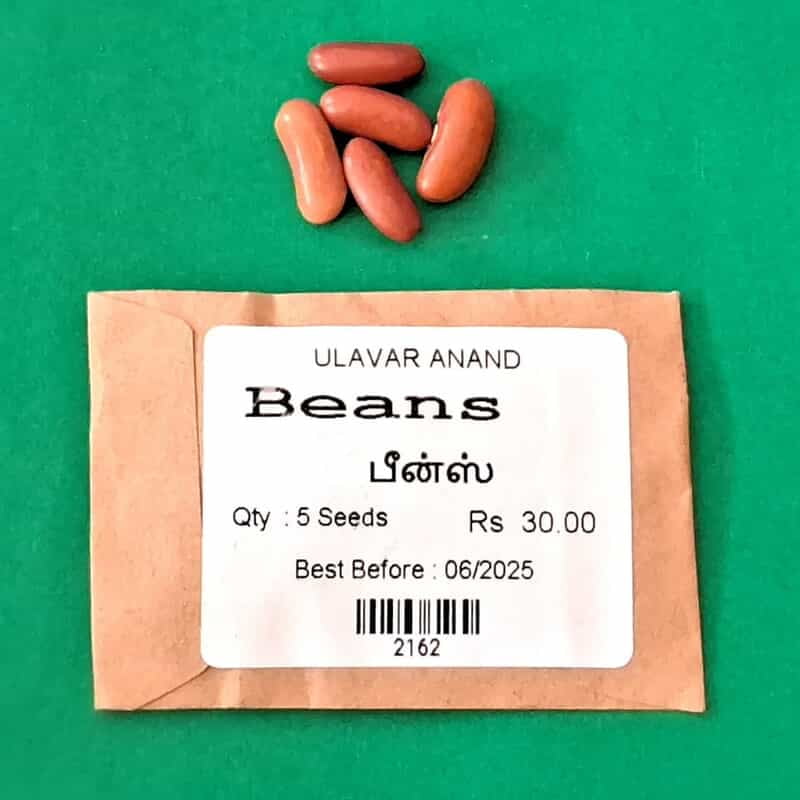 BEANS (பீன்ஸ்) BEANS (பீன்ஸ்)