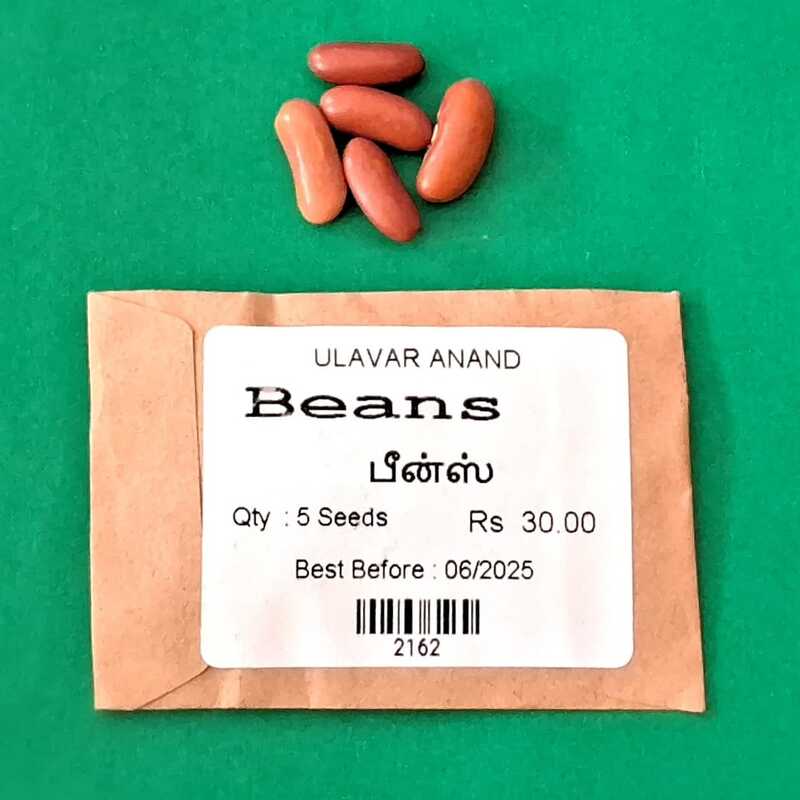 BEANS (பீன்ஸ்) BEANS (பீன்ஸ்)