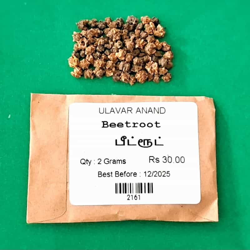 BEETROOT (பீட்ரூட்) BEETROOT (பீட்ரூட்)