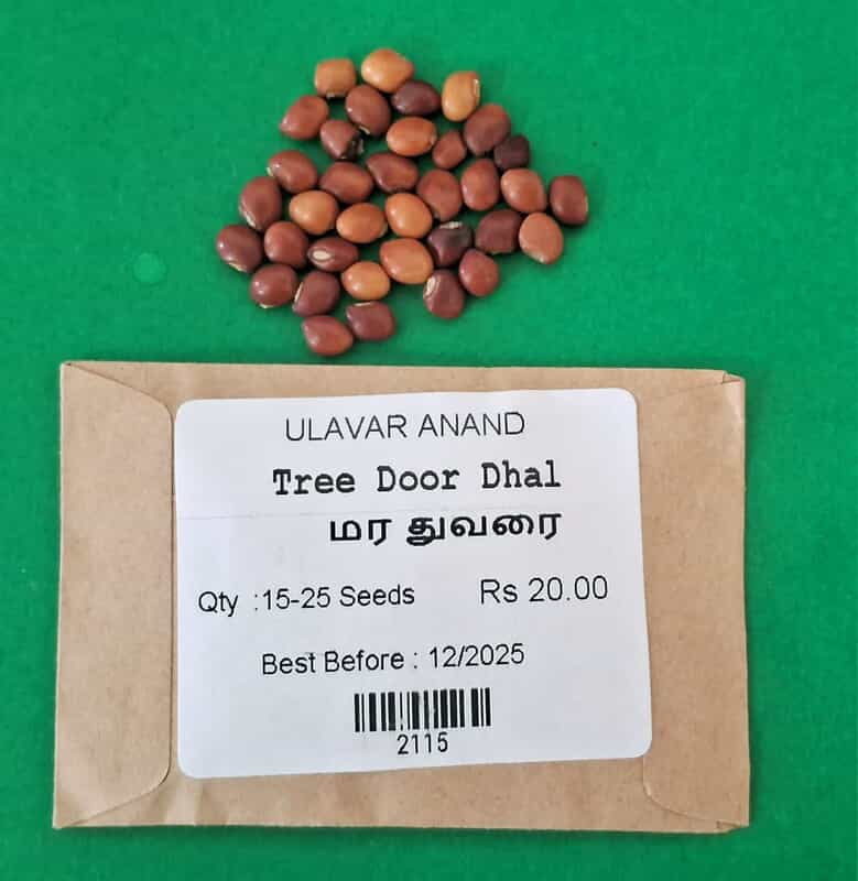 Red Gram | மர துவரை Red Gram | மர துவரை