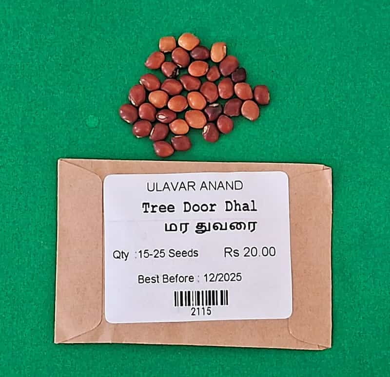Red Gram | மர துவரை Red Gram | மர துவரை