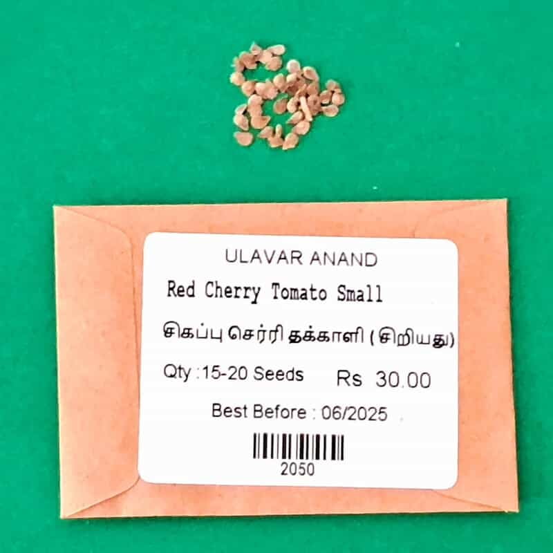 RED CHERRY TOMOTTO - SMALL (சிகப்பு செர்ரி தக்காளி - small) RED CHERRY TOMOTTO - SMALL (சிகப்பு செர்ரி தக்காளி - small)