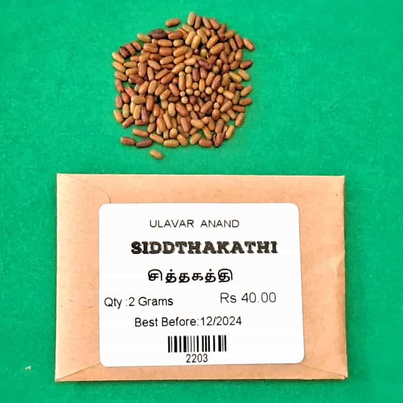 Siddhakathi (சித்தகத்தி) Siddhakathi (சித்தகத்தி)