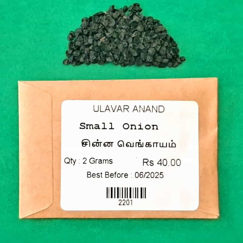 சின்ன வெங்காயம் | Small onion சின்ன வெங்காயம் | Small onion
