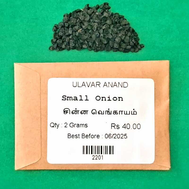 சின்ன வெங்காயம் | Small onion சின்ன வெங்காயம் | Small onion