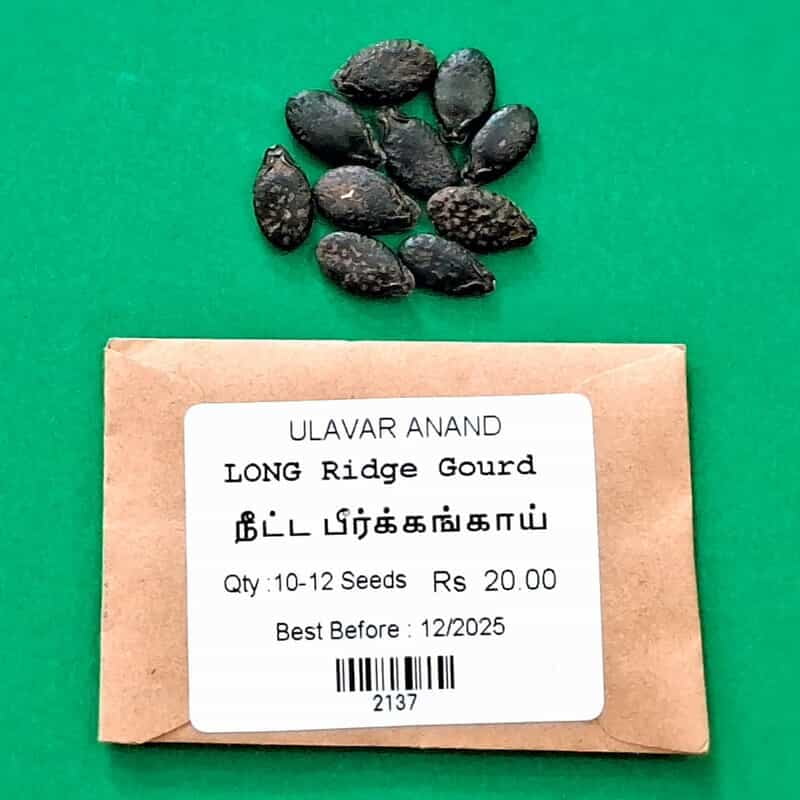PEERKANKAI LONG - LONG RIDGE GOURD (நீட்ட பீர்க்கங்காய்) PEERKANKAI LONG - LONG RIDGE GOURD (நீட்ட பீர்க்கங்காய்)