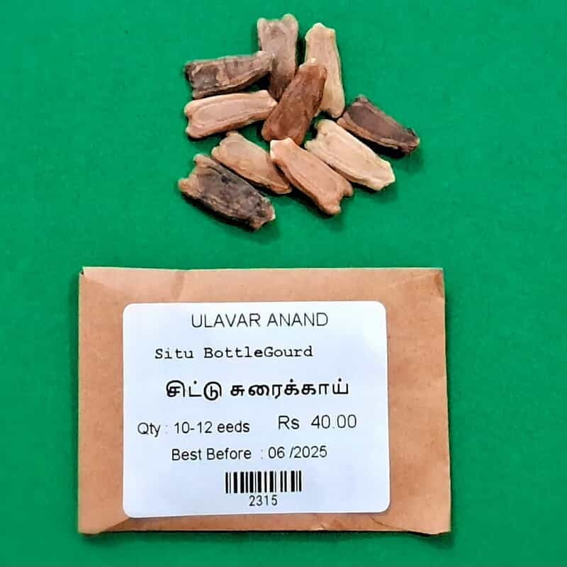 Situ BottleGourd_ சிட்டு சுரைக்காய் Situ BottleGourd_ சிட்டு சுரைக்காய்