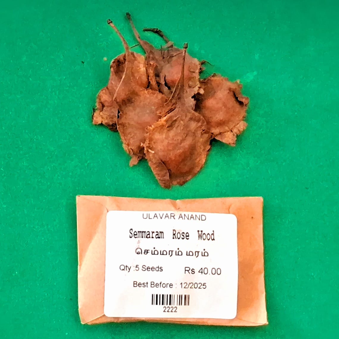 Semmaram | Rose Wood (செம்மரம்) Semmaram | Rose Wood (செம்மரம்)