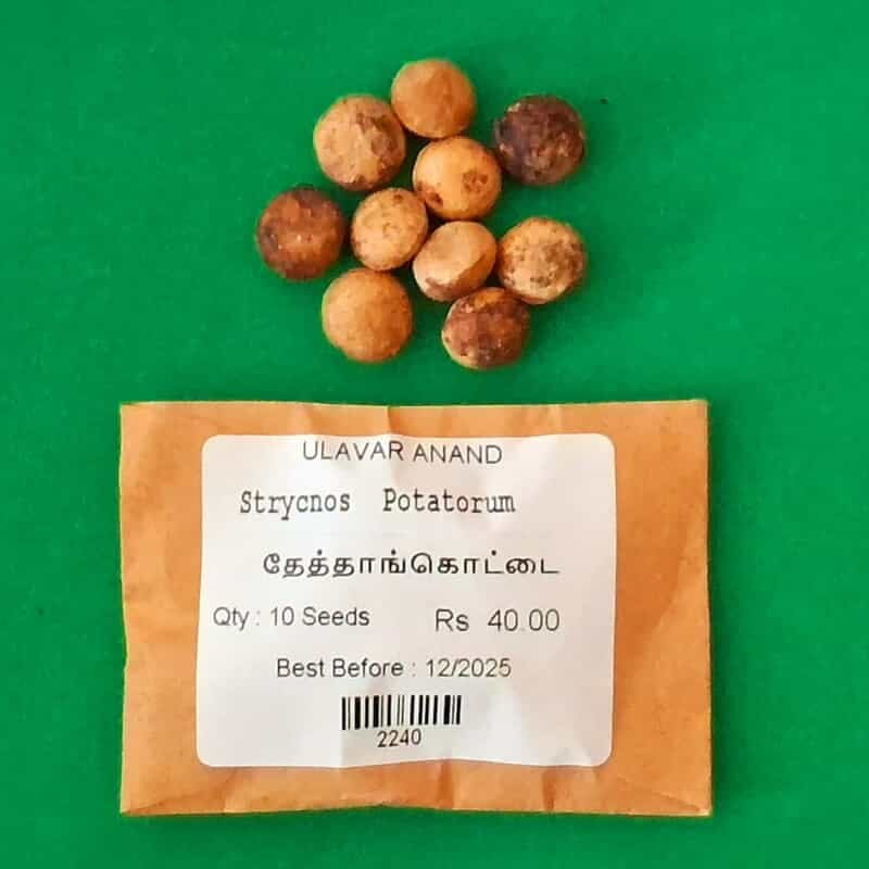 Strycnos Potatorum (தேத்தாங்கொட்டை ) Strycnos Potatorum (தேத்தாங்கொட்டை )