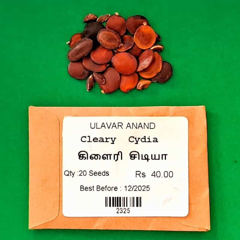 Cleary Cydia _ கிளைரி சிடியா Cleary Cydia _ கிளைரி சிடியா