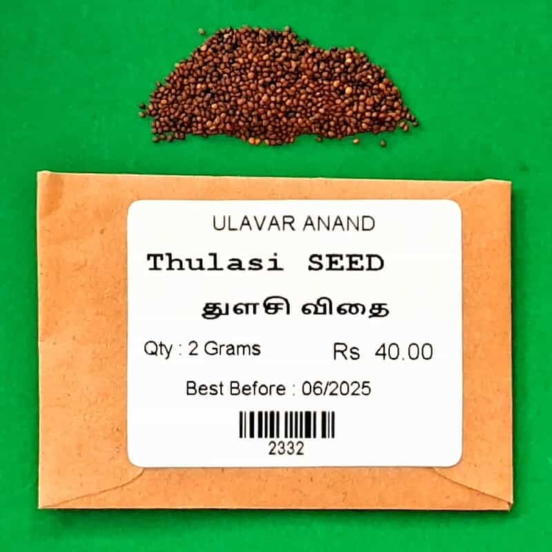 Thulasi Seed | துளசி விதை