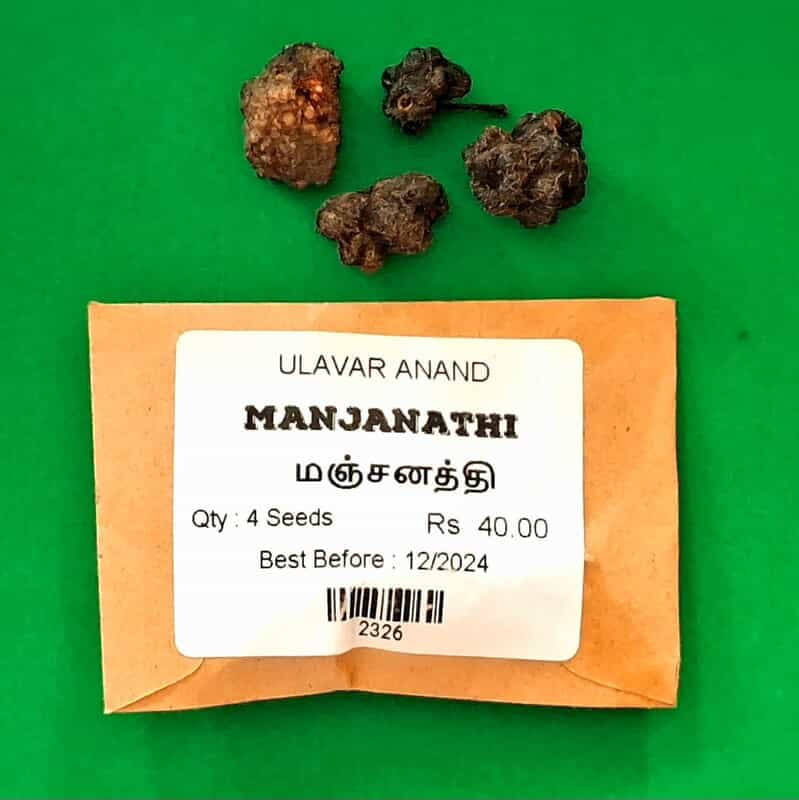 Manjanathi_மஞ்சனத்தி Manjanathi_மஞ்சனத்தி