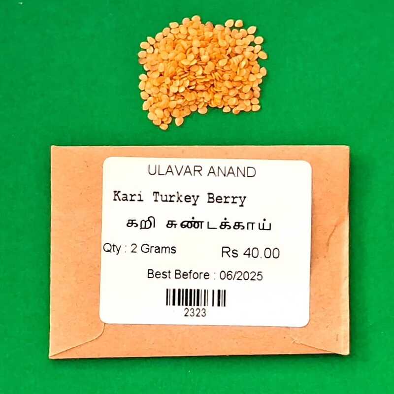 கறி சுண்டக்காய் | Kari Turkey Berry கறி சுண்டக்காய் | Kari Turkey Berry