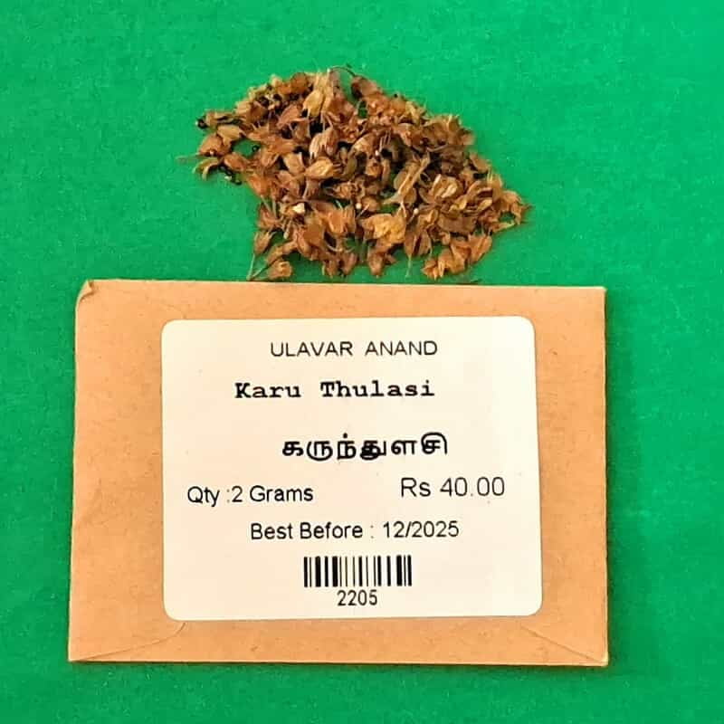 karuthulasi ( கருந்துளசி ) karuthulasi ( கருந்துளசி )