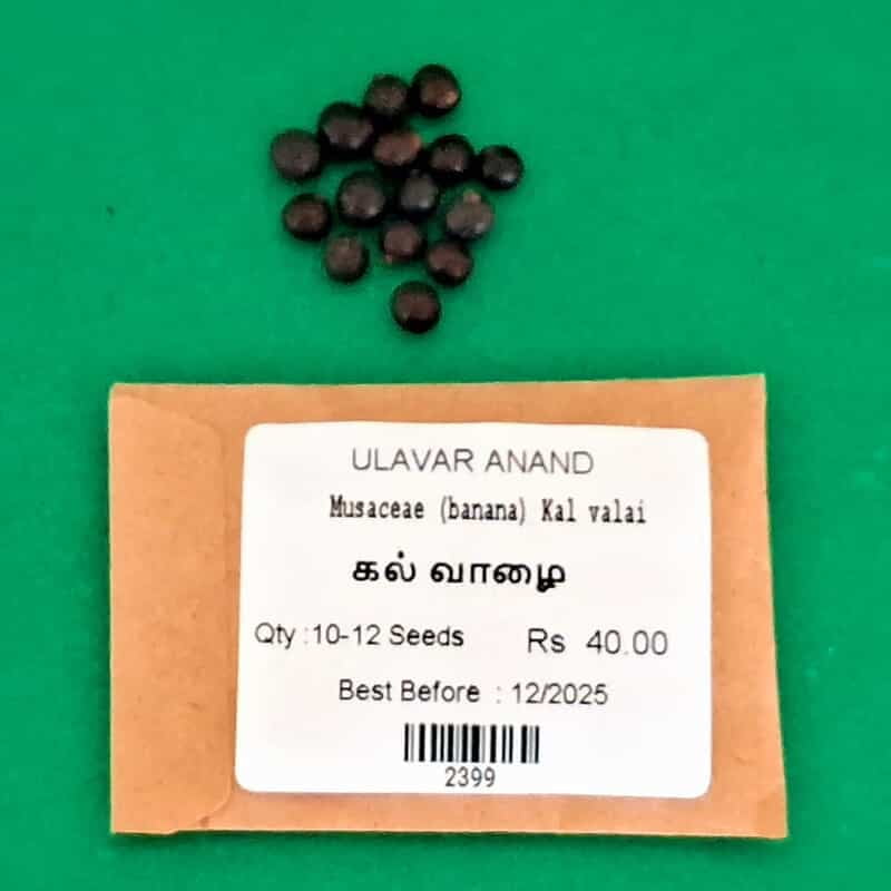 Musaceae (banana) Kal valai |