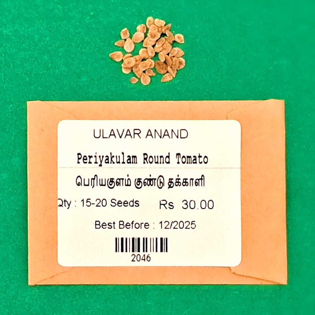 Periyakulam kundu Tomotto ( பெரியகுளம் குண்டு தக்காளி ) Periyakulam kundu Tomotto ( பெரியகுளம் குண்டு தக்காளி )