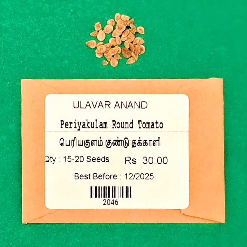 Periyakulam kundu Tomotto ( பெரியகுளம் குண்டு தக்காளி ) Periyakulam kundu Tomotto ( பெரியகுளம் குண்டு தக்காளி )