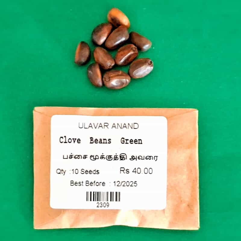 Green Mookuththi Avarai ( Clove Beans ) -பச்சை மூக்குத்தி அவரை Green Mookuththi Avarai ( Clove Beans ) -பச்சை மூக்குத்தி அவரை