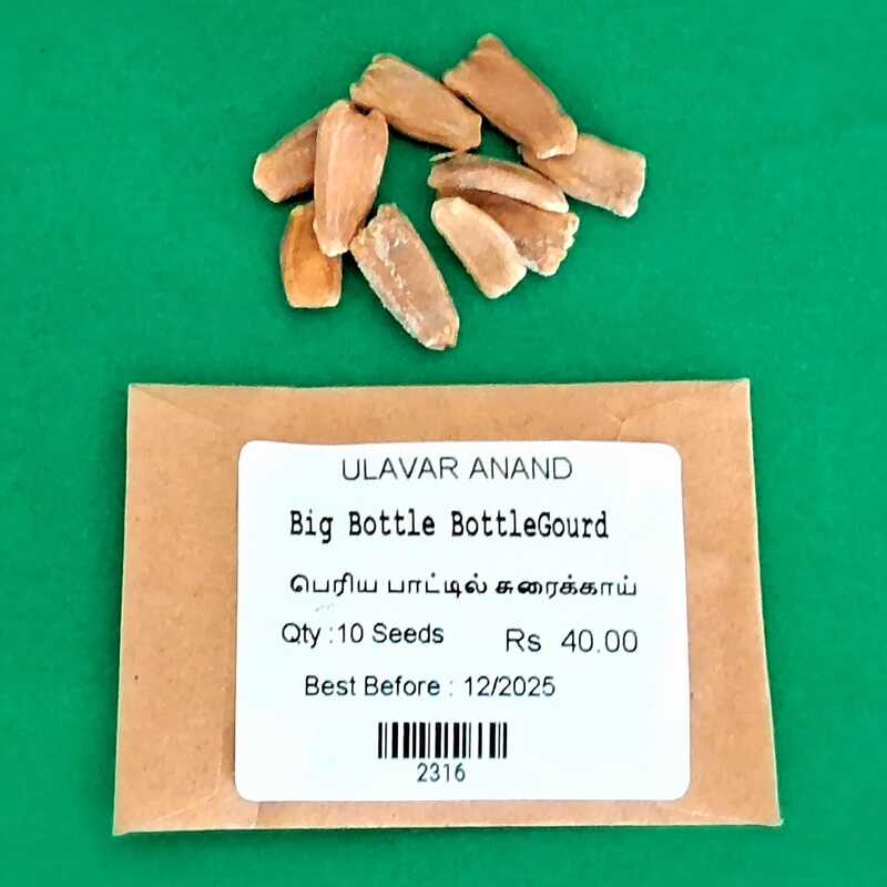 Big Bottle BottleGourd _ பெரிய பாட்டில் சுரைக்காய் Big Bottle BottleGourd _ பெரிய பாட்டில் சுரைக்காய்