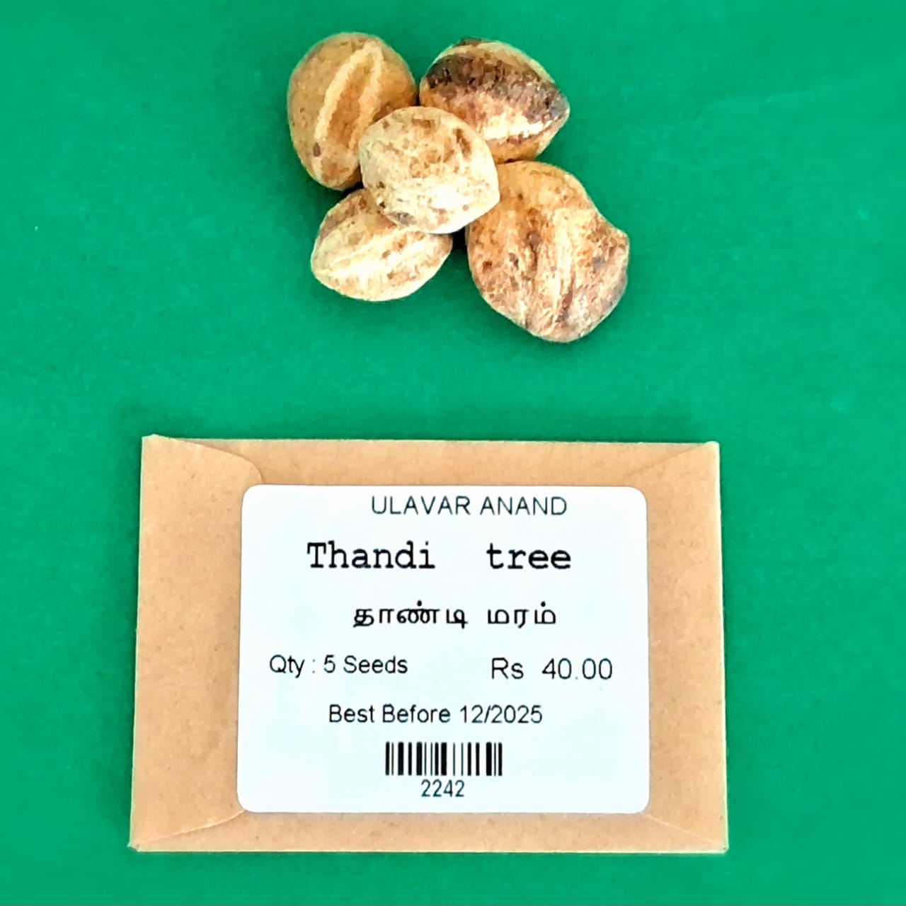 Thandi tree (தாண்டி மரம் ) Thandi tree (தாண்டி மரம் )