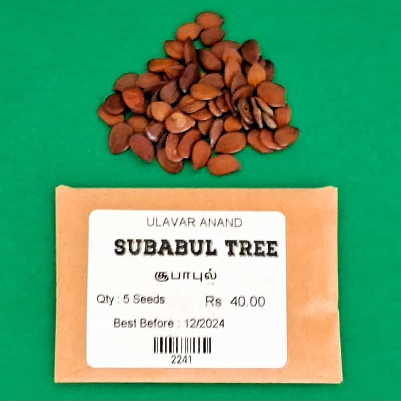 Subabul Tree (சூபாபுல் மரம் ) Subabul Tree (சூபாபுல் மரம் )