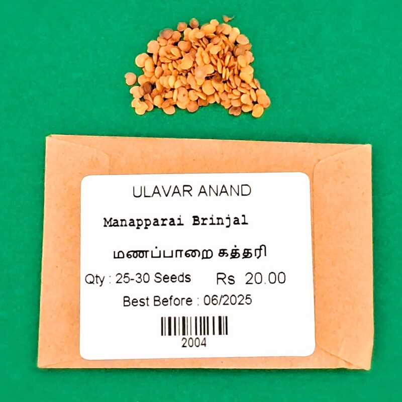 MANAPPARAI BRINJAL ( மணப்பாறை கத்தரிக்காய்) MANAPPARAI BRINJAL ( மணப்பாறை கத்தரிக்காய்)