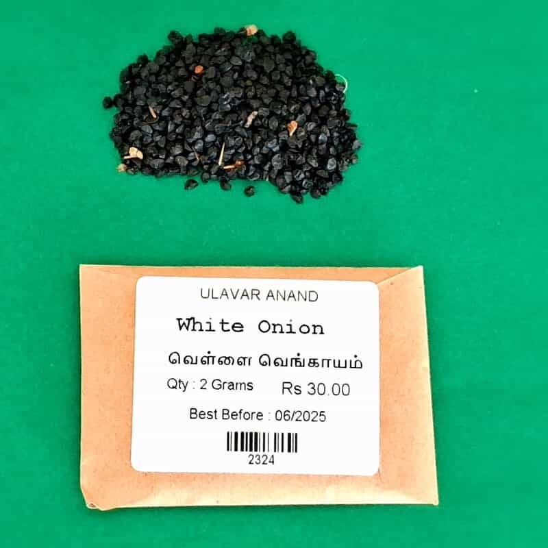White Onion | வெள்ளை வெங்காயம் White Onion | வெள்ளை வெங்காயம்